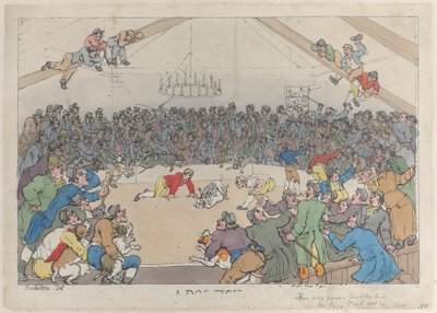 Un combat de chiens, 1er mai 1811 - Thomas Rowlandson