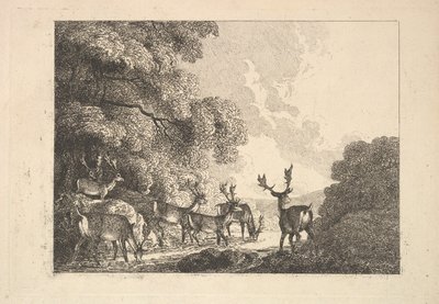 Un groupe de cerfs buvant, 1784-88 - Thomas Rowlandson