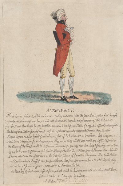 Un nouvel insecte - Thomas Rowlandson