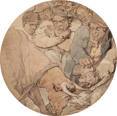 Combat de taureaux 1810s - Thomas Rowlandson