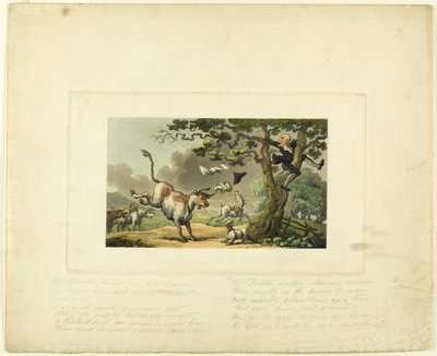 Le Docteur Syntax poursuivi par un taureau, de Le Tour du Docteur Syntax - Thomas Rowlandson