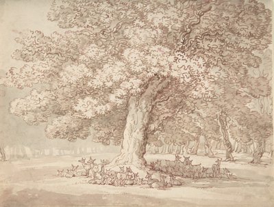 Troupeau de cerfs sous un chêne, 1775-1827 - Thomas Rowlandson