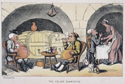 Le docteur dans une cave - dans « Les trois tours du docteur Syntax : à la recherche du pittoresque, de la consolation et d