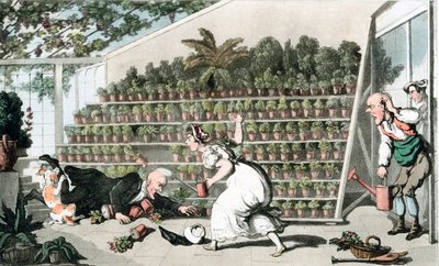 Malheur dans la salle des tulipes, vers 1816 - Thomas Rowlandson