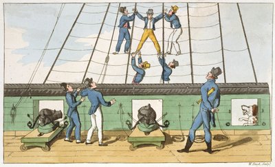 Saisi dans le gréement, planche de 