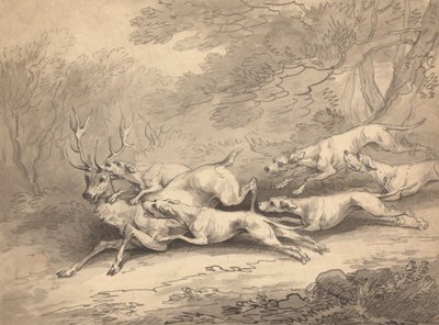 Un cerf abattu par une meute de chiens - Thomas Rowlandson