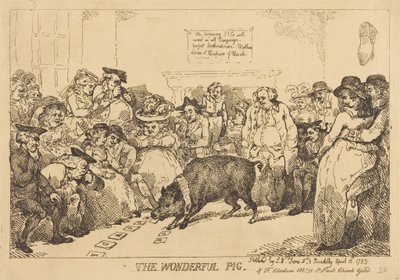 Le merveilleux cochon - Thomas Rowlandson