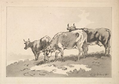 Trois vaches sur la crête d