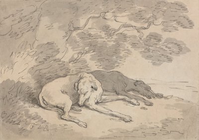 Deux lévriers couchés sous un arbre - Thomas Rowlandson