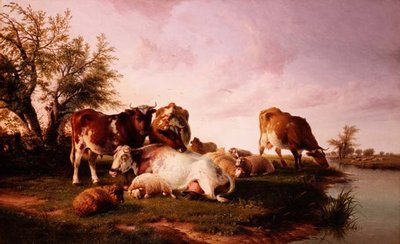 Moutons et bétail broutant au bord d