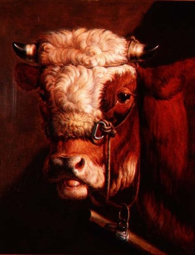 Portrait de la tête d