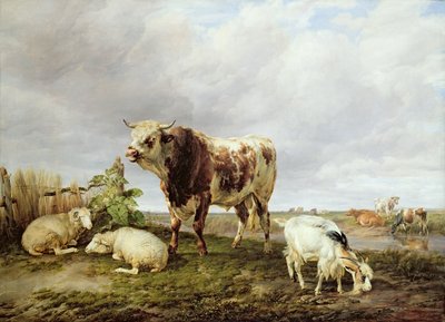 Bétail dans le pré - Thomas Sidney Cooper