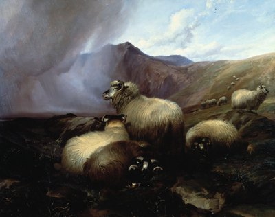 Moutons des Highlands dans un Paysage Montagneux, 1854 - Thomas Sidney Cooper