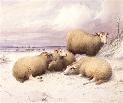 Moutons dans la neige - Thomas Sidney Cooper