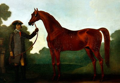 Le cheval arabe de M. Charles Wilson avec un palefrenier - Thomas Spencer
