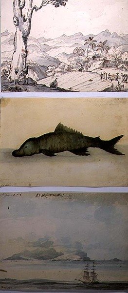 Trois illustrations de 