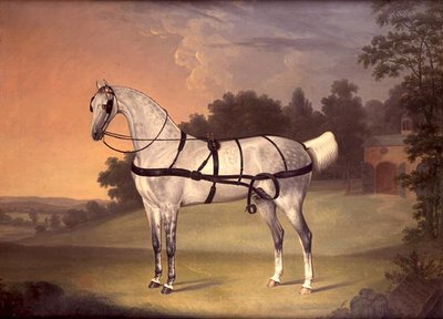 Portrait de beauté, âgée de dix ans - Thomas Stringer