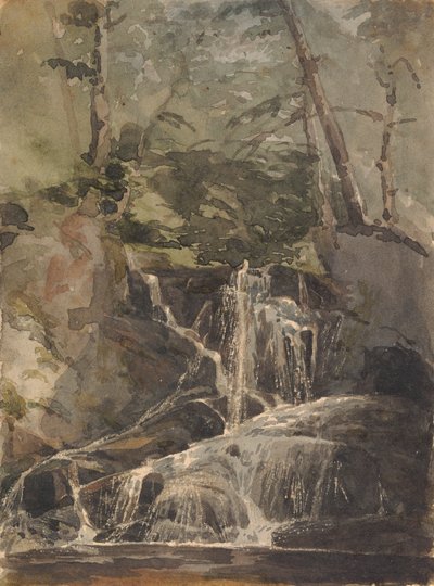 Petite cascade en forêt - Thomas Sully