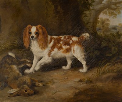 Un épagneul avec un lièvre mort - Thomas W. Bretland