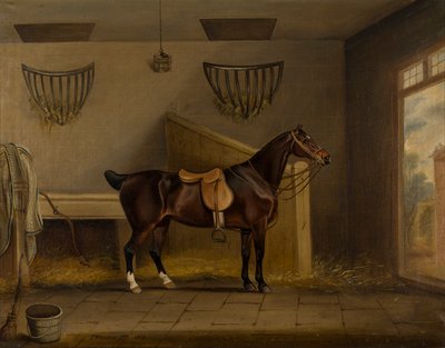 Un chasseur bai sellé dans une écurie, c.1819 - Thomas Weaver