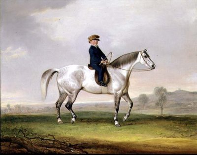 Maître Edward Humphries sur son poney gris - Thomas Weaver