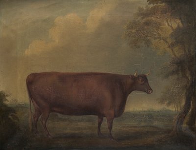 Génisses rouges du Devon dans un paysage, vers 1812 - Thomas Weaver