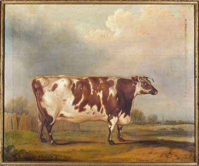 Wildair, une génisse de huit ans dans un paysage fluvial, 1827 - Thomas Weaver