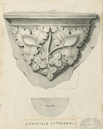Intérieur de la cathédrale de Lichfield - Feuillage sculpté - Thomas Witlam Atkinson