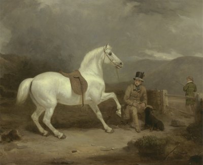 M. Johnstone King