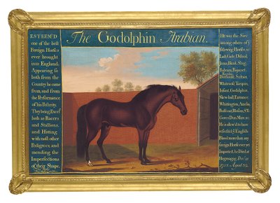 Le Godolphin Arabian - Thomas of Pall Mall Butler