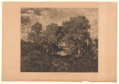 Vue sur la forêt de Fontainebleau avec une figure près d