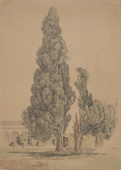 Cyprès - Thorald Brendstrup