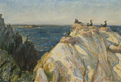 Oiseau de mer - Thorolf Holmboe