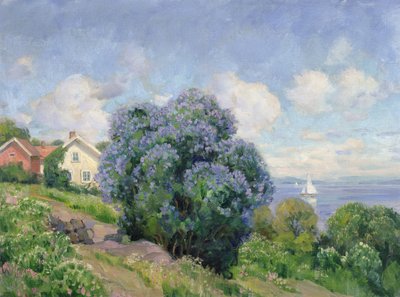 Paysage d
