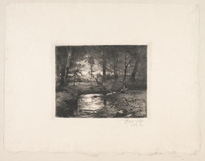 Rivière à Borrevejle Skov - Thorvald Niss