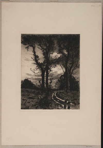 Chemin boueux entre les arbres - Thorvald Niss