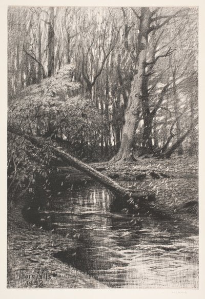 Paysage forestier avec un ruisseau - Thorvald Niss