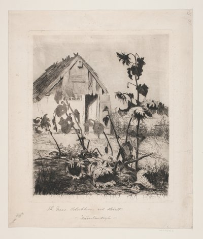 Les tournesols près de la maison - Thorvald Niss