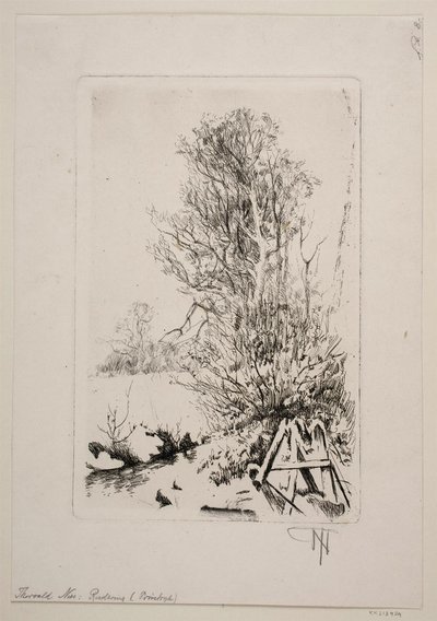 Arbres près d