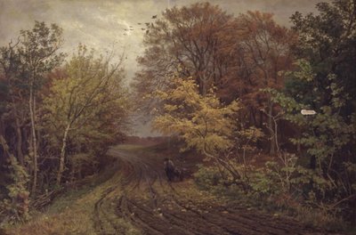 Chemin dans la forêt de Borrevejle. Jour d