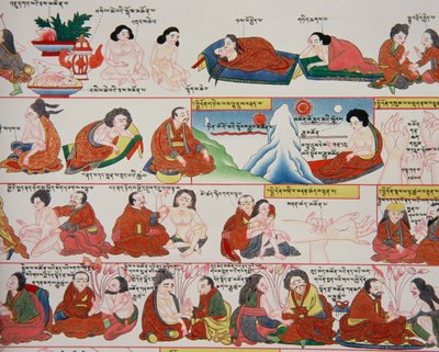 Manuscrit sur la médecine tibétaine (détail) - Tibetan School