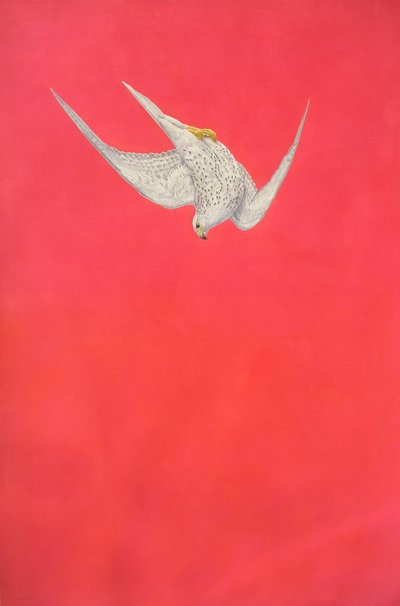 Swoop rose ; Faucon gerfaut - Tim Hayward