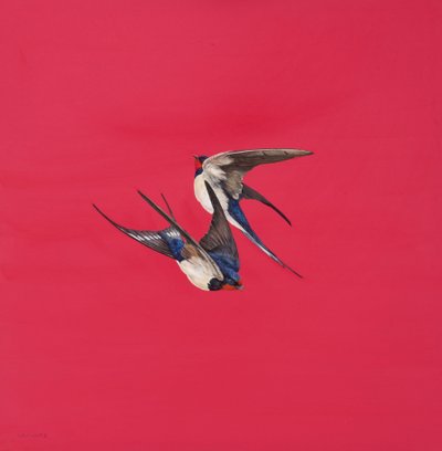 Tourbillon-Rouge - Tim Hayward