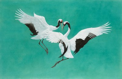 La Danse-Verte - Tim Hayward