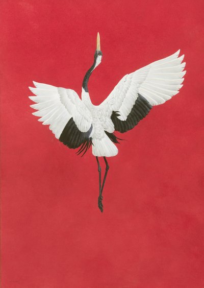 La Danse-Rouge - Tim Hayward