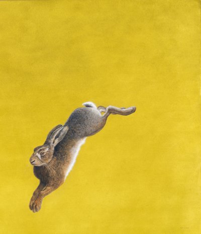 Le Saut-Jaune - Tim Hayward