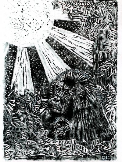 La famille des gorilles de la jungle - Tim Hoinkis