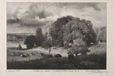 Chênes d