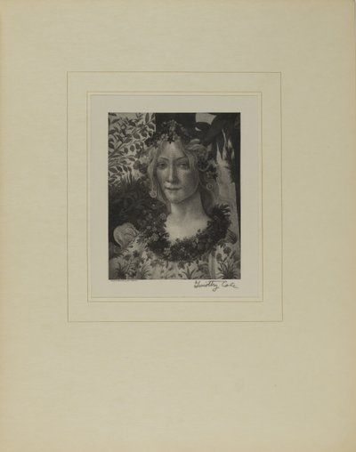 Anciens maîtres italiens - Timothy Cole