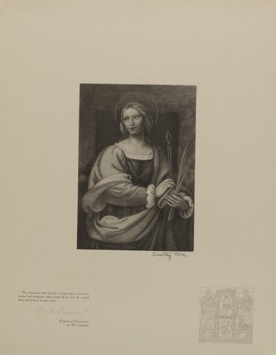 Anciens maîtres italiens - Timothy Cole
